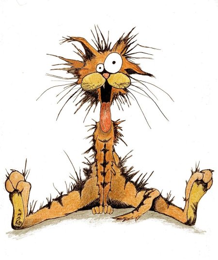 Bill_The_Cat_by_DaVinci73